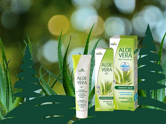 Aloe Vera Produkte