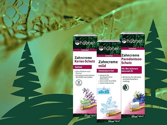 Zahnpflege