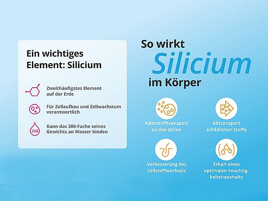  huebner-so_wirkt_silicium_im_Koerper