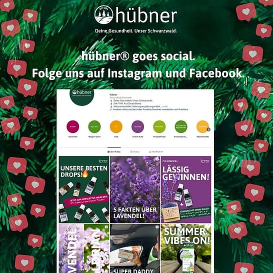 Instagram-Feed von Hübner® mit Text: hübner® goes social. Folgen Sie uns auf Instagram und Facebook.
