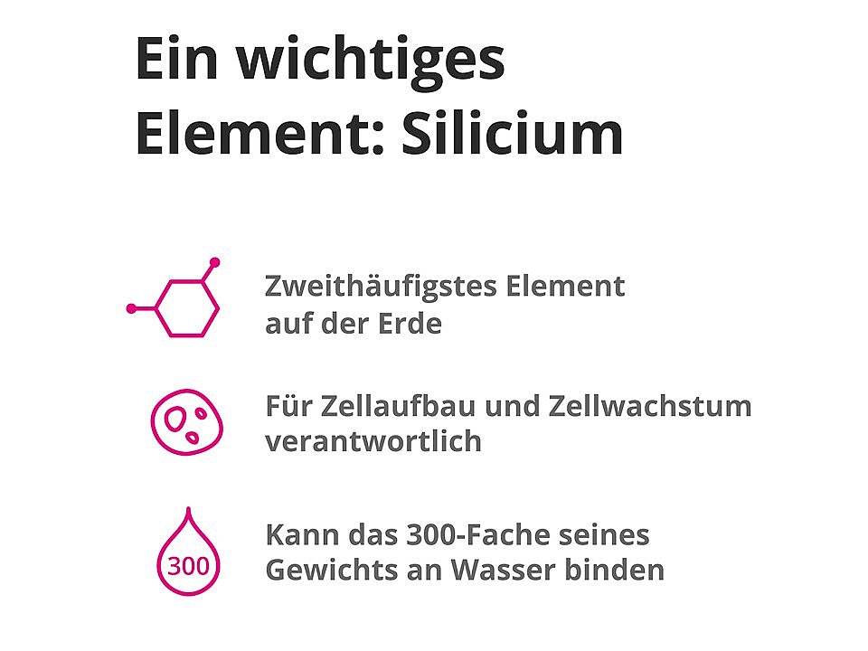  huebner-ein_wichtiges_Element_Silicium Grafik