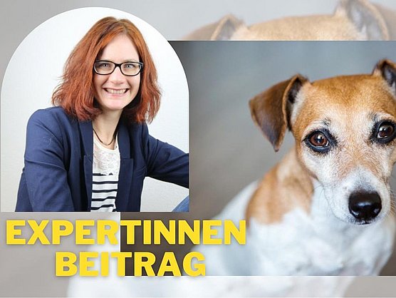 Hübner Expertinnenbeitrag Magenschleimhautentzündung Hund