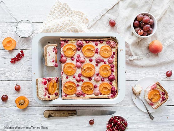 Hübner Rezept Aprikosen Milchreiskuchen