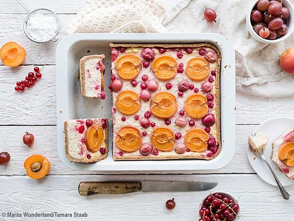 Hübner Rezept Aprikosen Milchreiskuchen