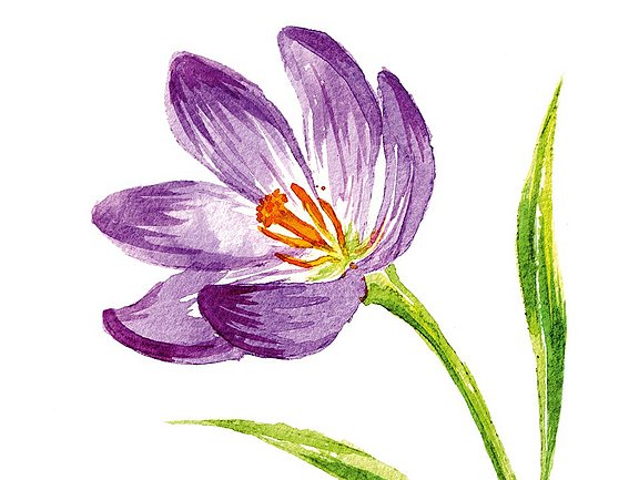 safran